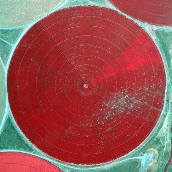 Infrared aerial photo of an onion bulb crop in the Columbia Basin of Washington showing areas of stunted patches (red = healthy crop canopy)
