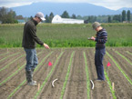 Two men recording data in a field.