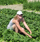 Megan Twomey taking data in a spinach seed crop field trial