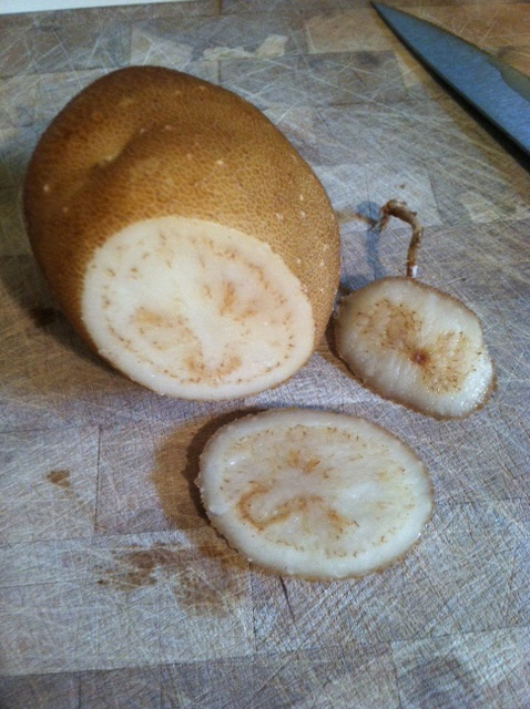 Tuber showing characteristic symptoms of zebra chip.