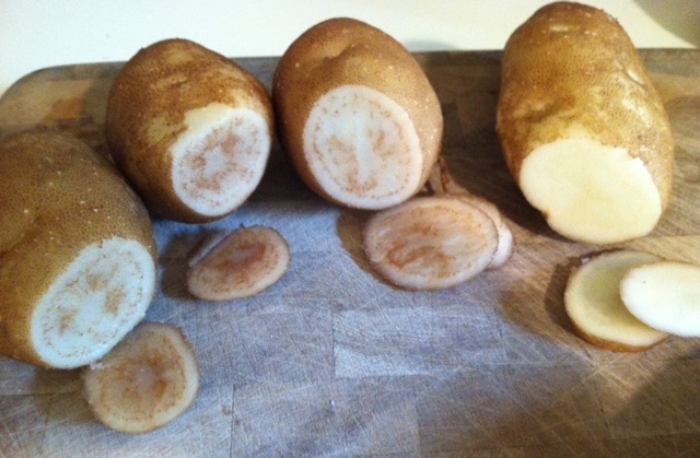Tubers showing symptoms of zebra chip.  Healthy tuber shown on the right.
