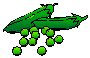 image of pea